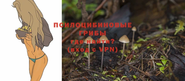 Альфа ПВП Липки