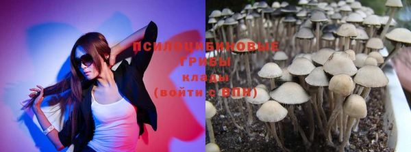 Альфа ПВП Липки