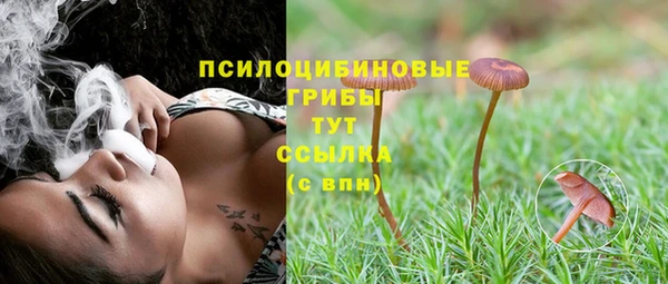 дурь Магас